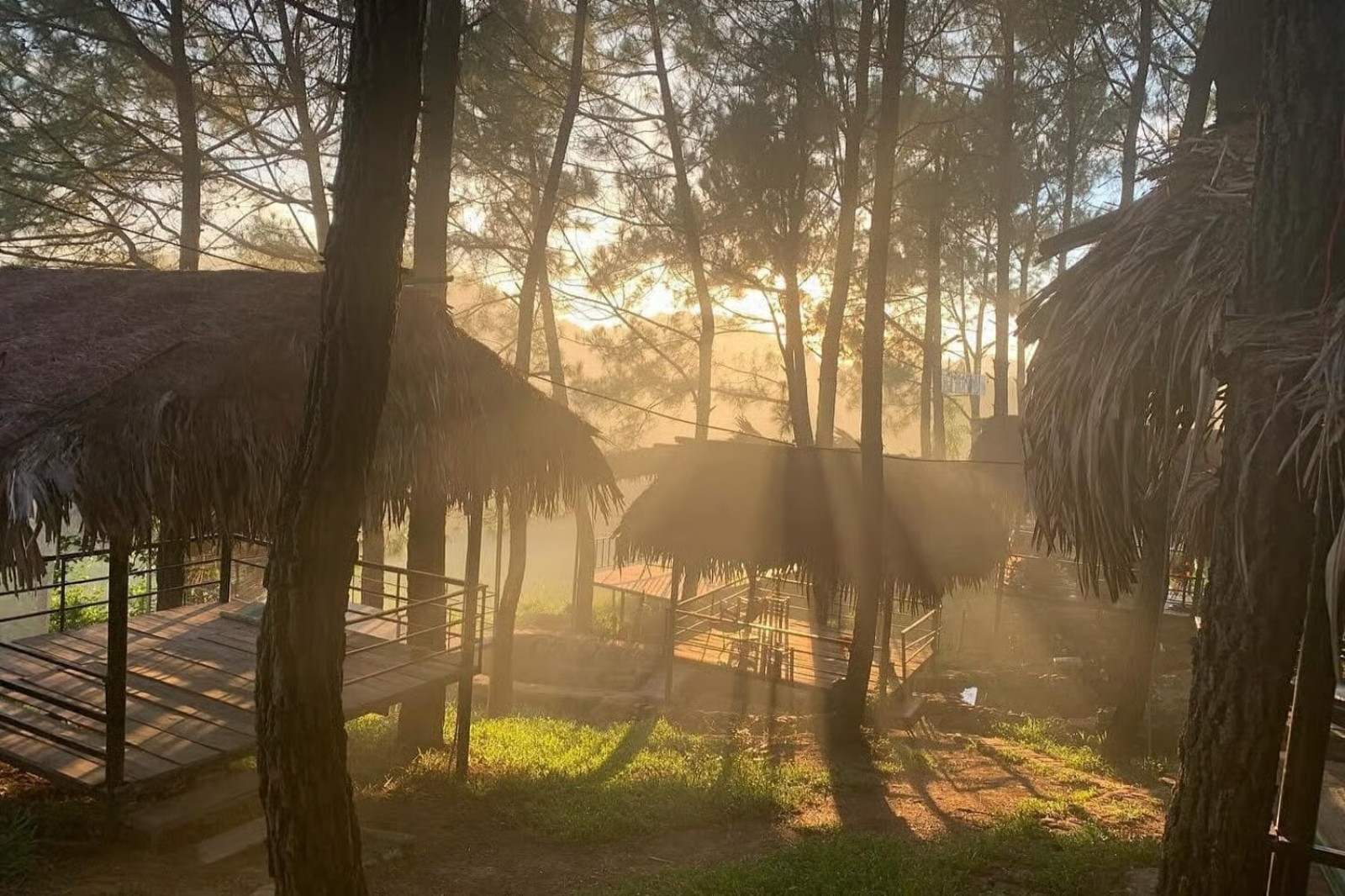 Đồi Mây Đắng - Địa điểm Camping lý tưởng tại Quảng Bình 6 Khong-gian-check-in-xanh-mat-o-doi-may-dang